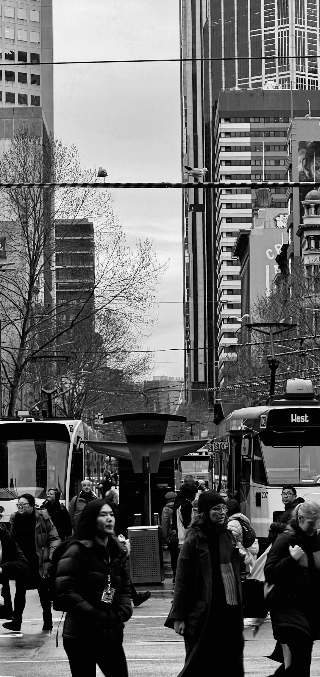 Black and white photo of a busy Canadian city street with pedestrians crossing